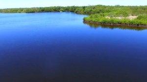 Robinson Nature Preserve