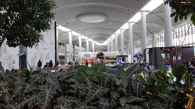 Из Лас Вегаса в Россию Апрель 2022 смотреть онлайн