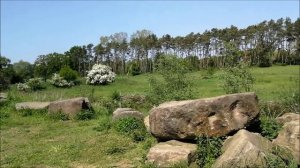 прогулялась по окрестностям