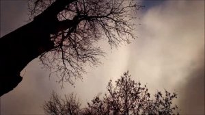 Иннокентий Анненский, Среди миров, в мерцании светил