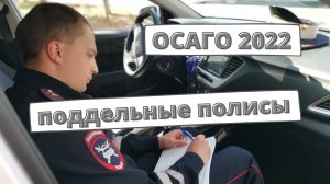 Поддельные полисы ОСАГО всё чаще продают водителям