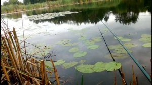 Ловля Крупного Леща на Поплавок Часть 3