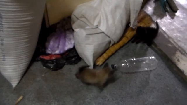 Медитация смотреть онлайн