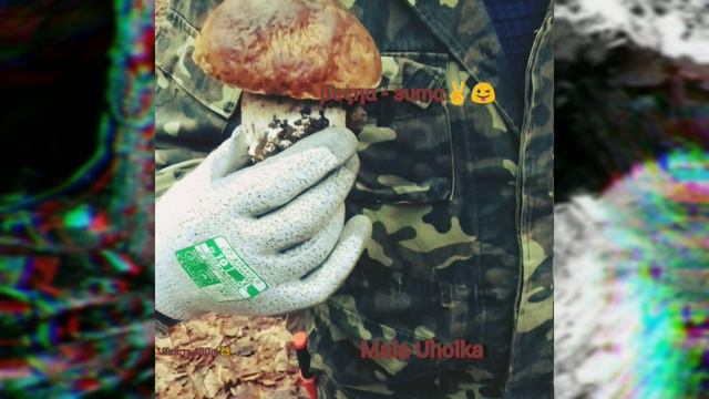 Мала Уголька "Весна - Зима" 2020 😜 (трохи про природу і місцевість) смотреть онлайн