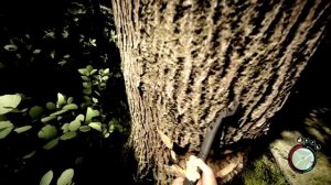 Sons of The Forest Trainer | Sons of The Forest Cheat | Enable Dev Console, Add Items & More