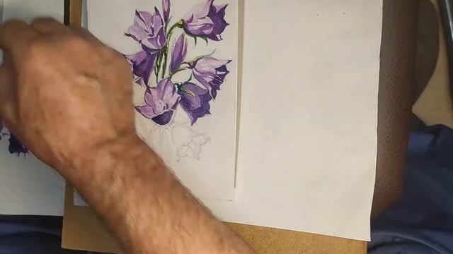 Красивые цветы рисуем акварелью смотреть онлайн