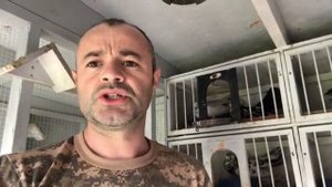 Измаильские Турманы! Полет 2019