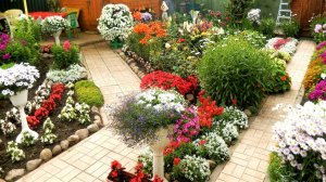 ?Лучшие идеи ландшафтного дизайна и элементов декора / Garden design and decor ideas / A - Video