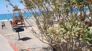 Cenger Beach Resort & Spa 5* (Турция/Кызылот) Обзор пляжа Отель Ченгер бич резорт 5, Турция