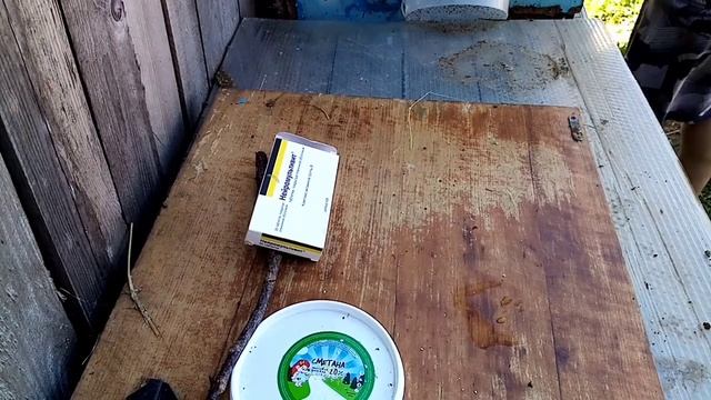 Новости хозяйства. Ветеринарные мероприятия/лечу нервную систему крольчат/ушной клещ. смотреть онлайн