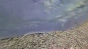 Отсыпка щебнем.mp4