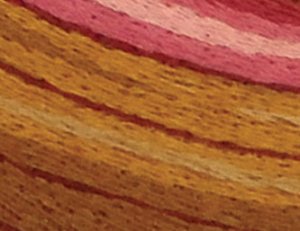 Заполняющий стебельчатый шов