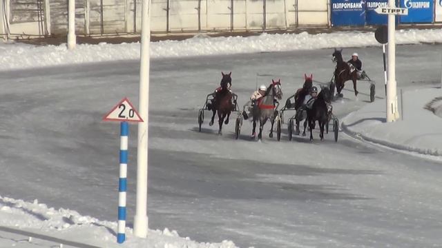 Московский ипподром. Бега. 28.02.16. Заезд 4(104). ПРИЗ ИМЕНИ НОВОТОМНИКОВСКОГО КОННОГО ЗАВОДА смотреть онлайн