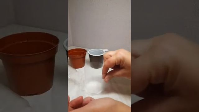 Как сделать горшок для фиалок 7 см. в диаметре. смотреть онлайн