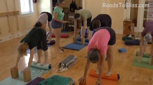 Uttanasana on a roll (Variation) with Rebecca Lerner  Senior III Certified Iyengar Yoga Instructor