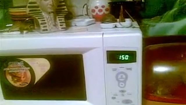 самостоятельная микроволновка или призрак в микроволновке (Microwave Paranormal)