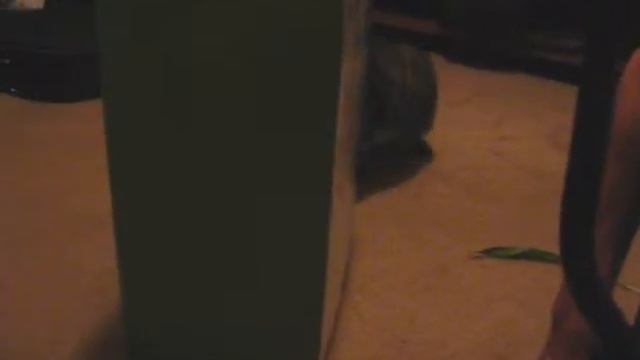 bigcat littlecat 3 - box game