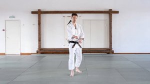 Ирими, тенкан, кайтен - базовые перемещения. АЙКИДО | AIKIDO: irimi, tenkan, kaiten - basic steps