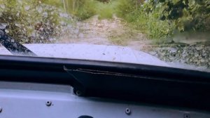 Возвращаемся из леса 08.08.23