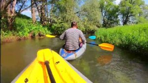 СПЛАВ на байдарках по реке Калужской области!