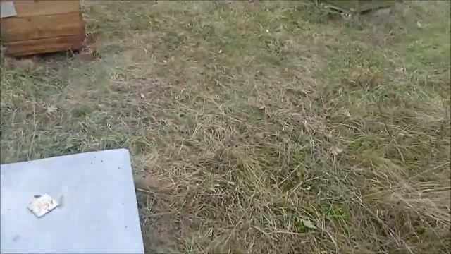 Дела обще-хозяйственные. смотреть онлайн