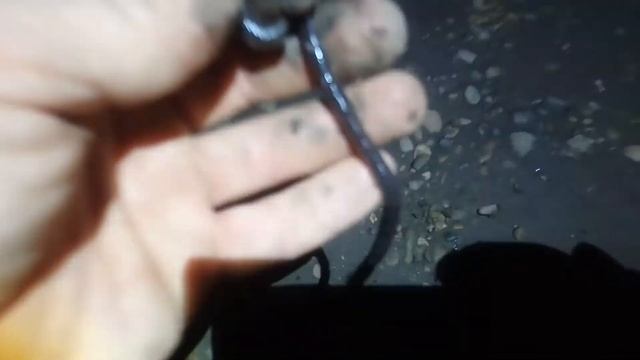 Где найти червей выползков грабак Почему черви вылазят ночью на поверхность Лучший червь для сома
