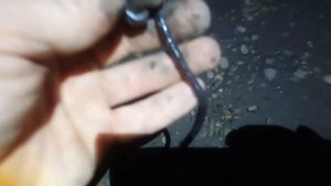 Где найти червей выползков грабак Почему черви вылазят ночью на поверхность Лучший червь для сома