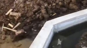 Что делать если высокие грунтовые воды , мы объясним.
