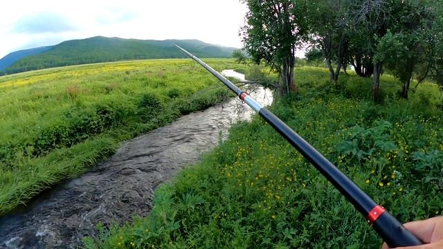 Рыбалка  в поле, на ручье. Ловля крупного хариуса и ленка на удочку и спиннинг_#24