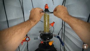 Hop Bong : le test