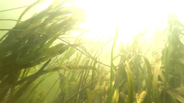 рязанская область смотреть онлайн