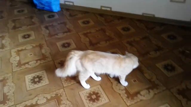 Не съем, так покусаю. смотреть онлайн