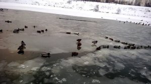 Секретный фарватер
