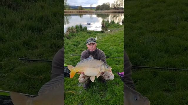 Карп 5,800 смотреть онлайн