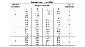 Генетический код | Свойства генетического кода | Таблица генетического кода