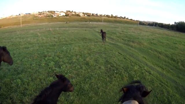 Учусь ездить ВЕРХОМ смотреть онлайн