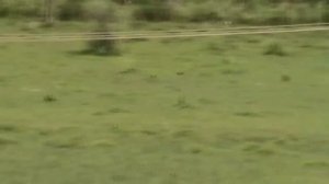 sony dcr sx 44 video test