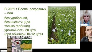 Пример успешного применения почвопокровных культур. Ольга Леонидовна Кибалюк (Томашова) ч. 1.