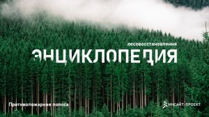 Энциклопедия лесовосстановления_7_Противопожарная полоса