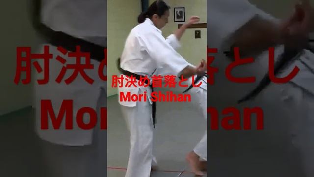 Mori Shihan「合気道にもあるエグイ技」森師範  [ Self-defense ] Aikido Yoshinkan Brisbane Dojo 合氣道養神館豪州道場