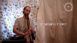 Как играть 12 нот хроматики на пимаке (пимак До)