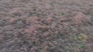 ВСЁ ДЛЯ ВАС, КОП В РЯЗАНИ.