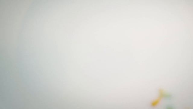 Комбайн Экстра шеф (1,35 л)