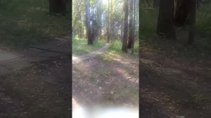 База отдыха "Электрон" истринское водохранилище(2)