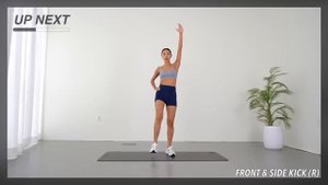 Get a PERFECT BODY in 2 WEEKS- Full Body Workout Challenge - No Jumping