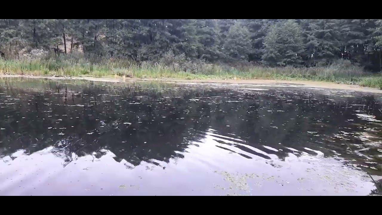 В поисках щуки. Пришла пора поговорить. смотреть онлайн