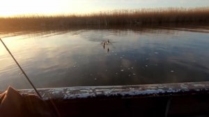 Тарань как из пулемета ?, а такого карася я давно не видел.)))