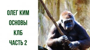 Олег Ким основы личной безопасности часть 2