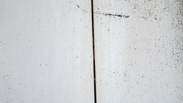 Cecotec Conga Popstar 29600 Aqua&Collect: МОЮЩИЙ вертикальный пылесос? ОБЗОР и ТЕСТ✅ смотреть онлайн