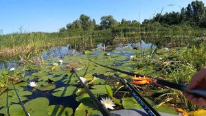 З дружиною на риболовлі в човні Аква Манія 240Т. Рибалка на поплавок